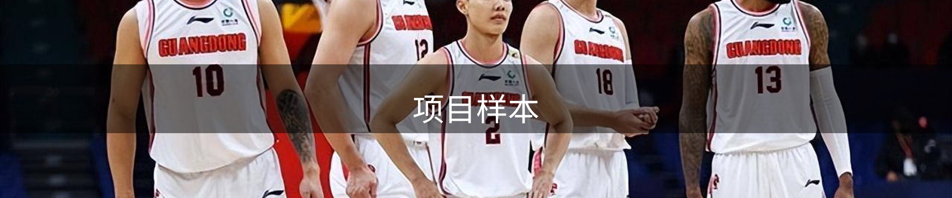 项目样本